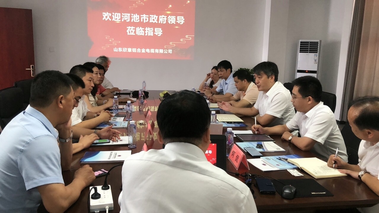河池市政府王軍市長(zhǎng)一行來(lái)公司考察調(diào)研